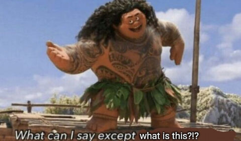 Template meme Moana maui what can i say except what is this?!?