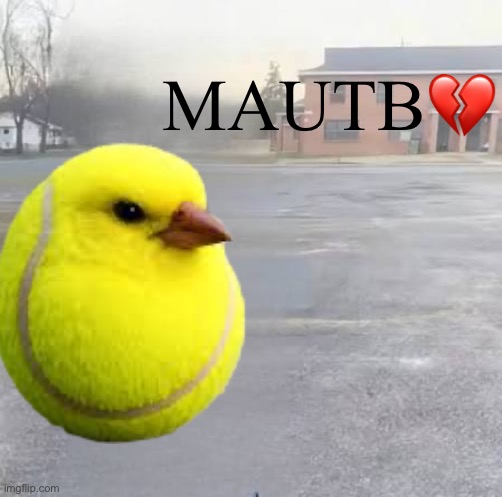 Plantilla de meme Mods Asleep, Upvote Tennis Bird