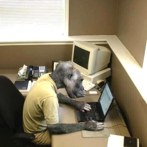 Plantilla de meme Monkey Business
