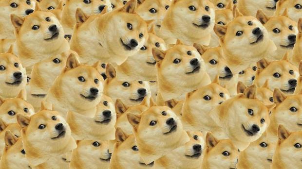 Plantilla de meme Multi Doge