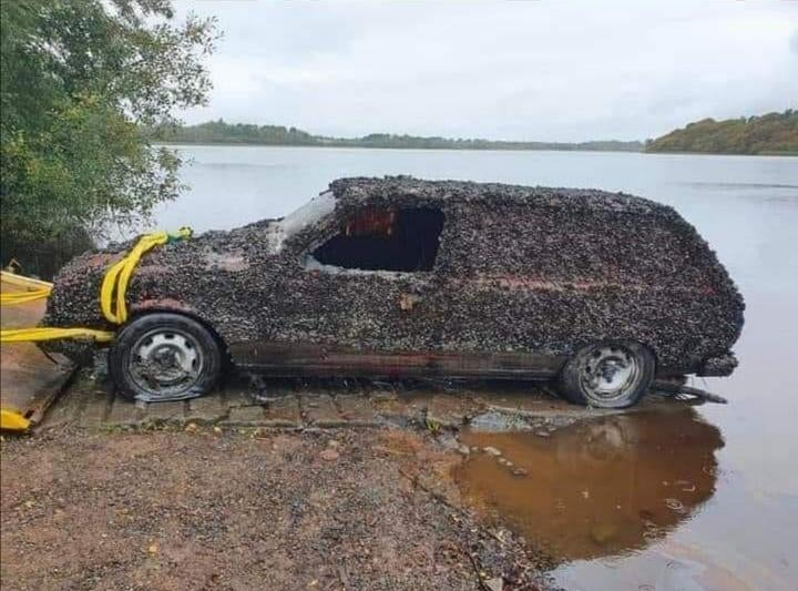 Plantilla de meme Mussel car