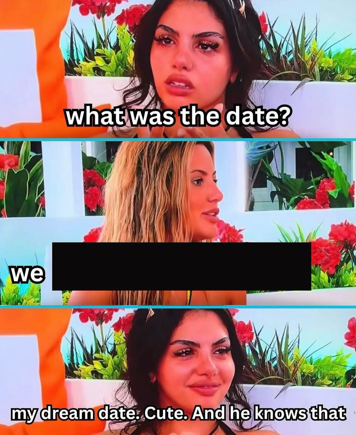 Template meme My dream date. Cute. And he knows that