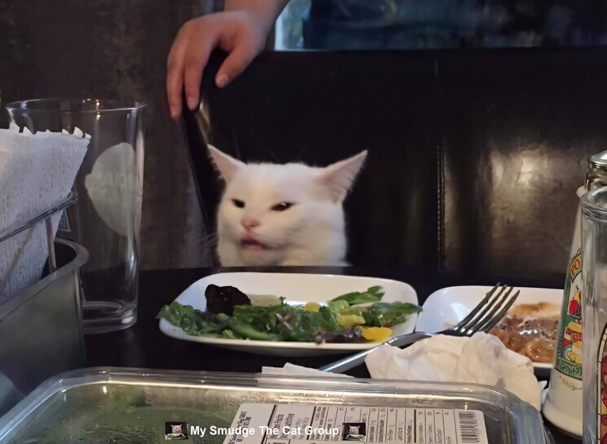 Plantilla de meme My smudge the cat