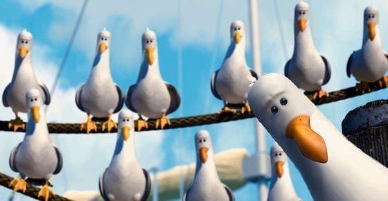 Plantilla de meme Nemo Birds