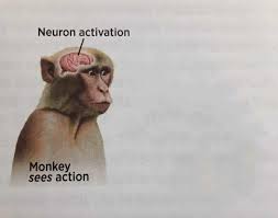Template meme Neuron activation