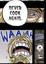 Template meme never cook again