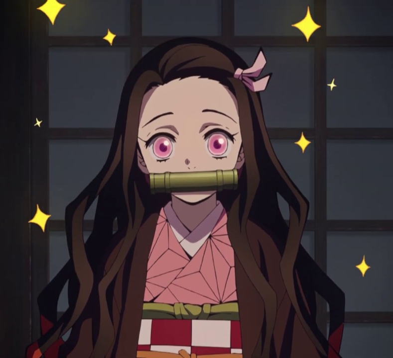 Plantilla de meme Nezuko Demon Slayer