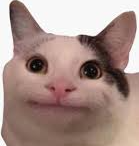Plantilla de meme Nice cat