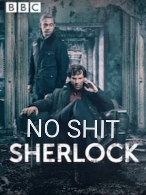 Plantilla de meme No shit Sherlock