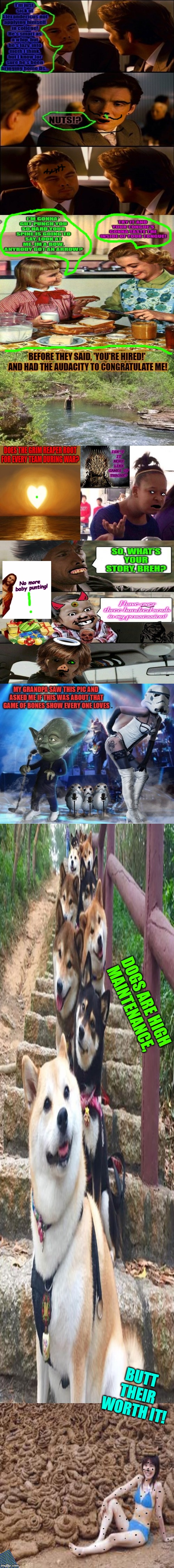 Template meme no turtles were harmed via the making of this meme