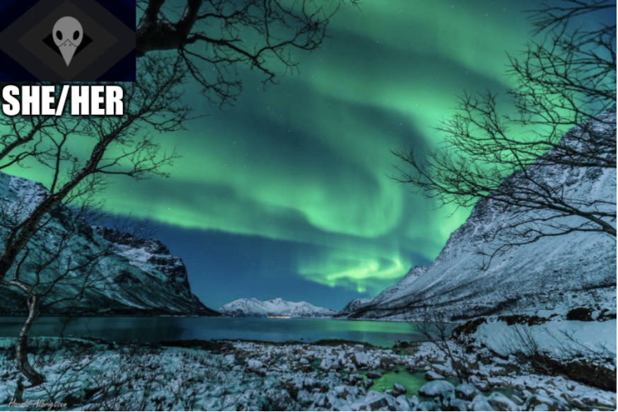 Plantilla de meme Northern Lights Termcollector Template