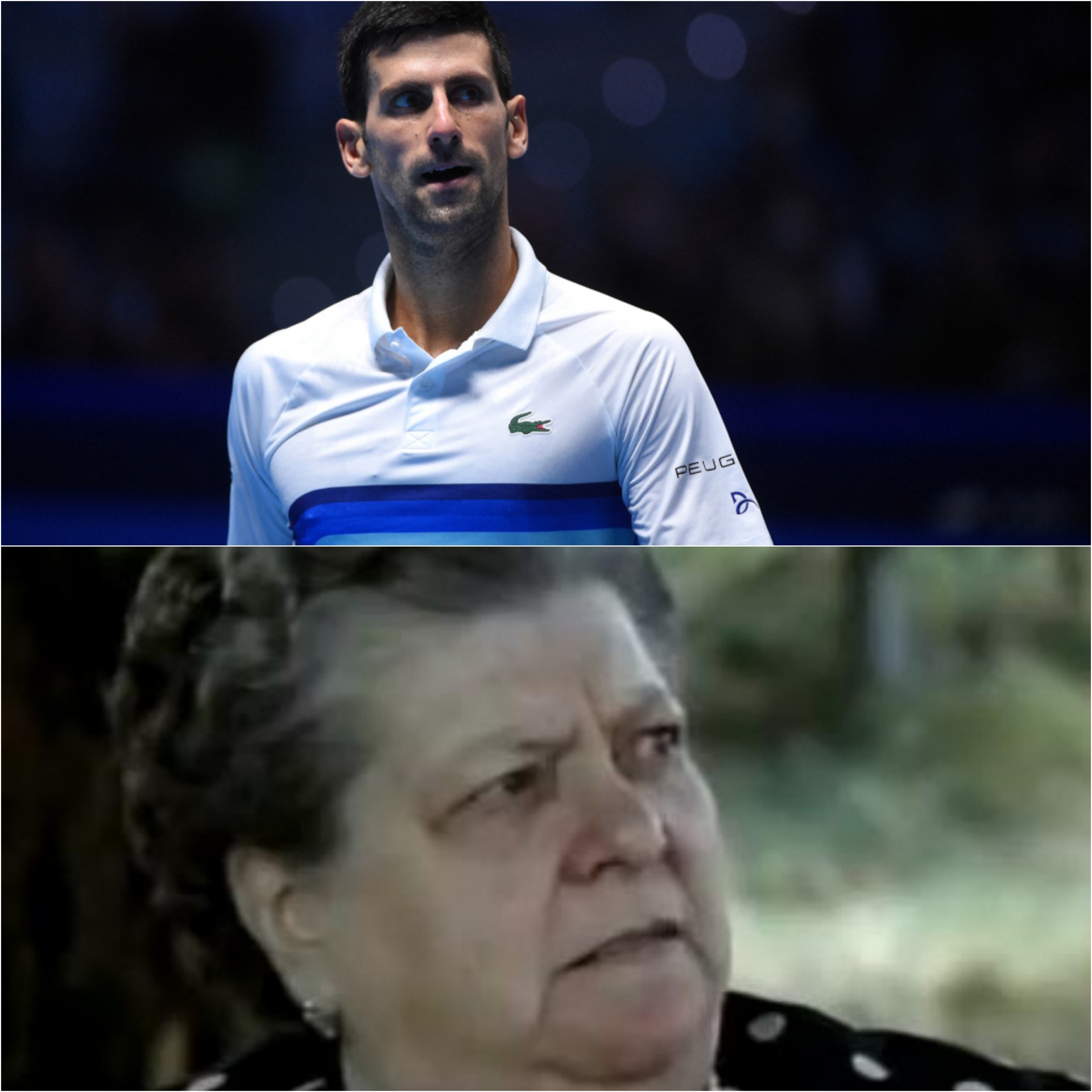 Plantilla de meme Novak Djokovic Sora Lella