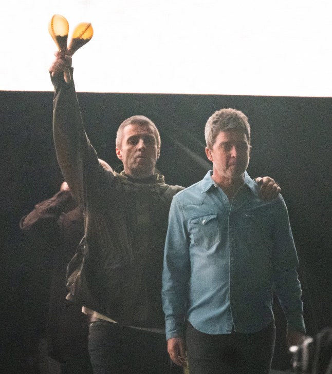 Oasis brothers difference meme template