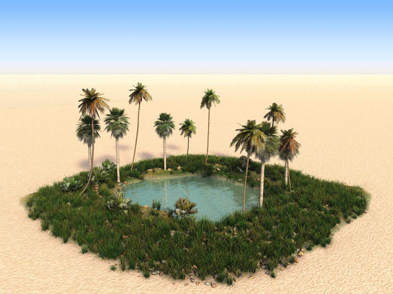 Oasis in the Desert meme template