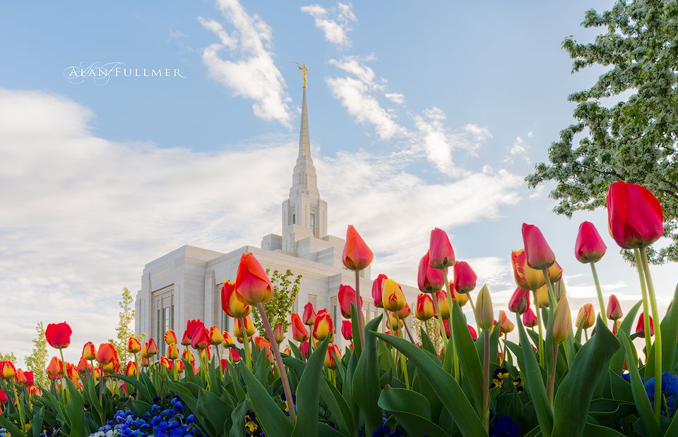 Ogden LDS Temple Tulips meme template