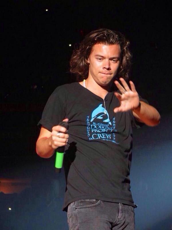 Plantilla de meme one direction harry styles