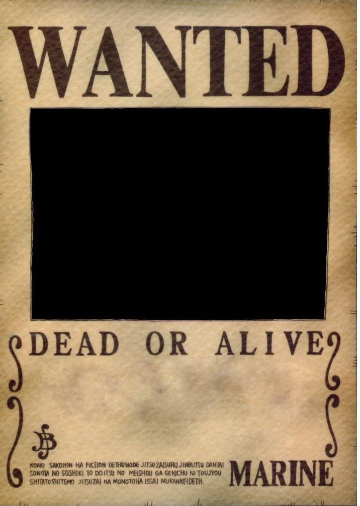 Plantilla de meme One piece wanted poster template