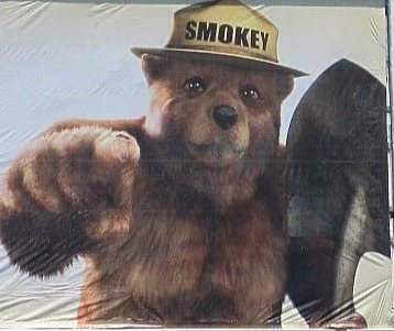 Plantilla de meme Only You Can Prevent