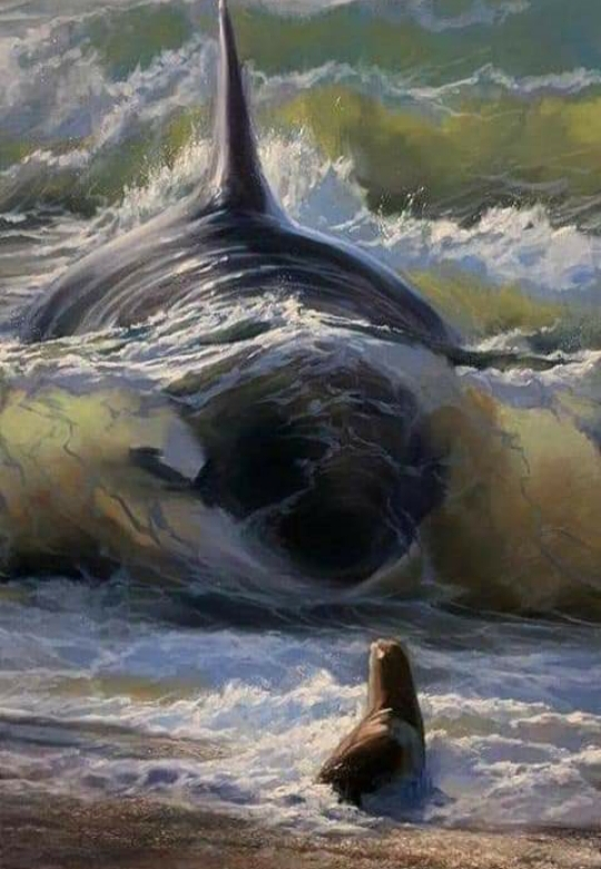 Plantilla de meme Orca Menacing