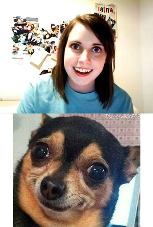 Template meme Overly Attached Girlfriend with Boyfriend's Response