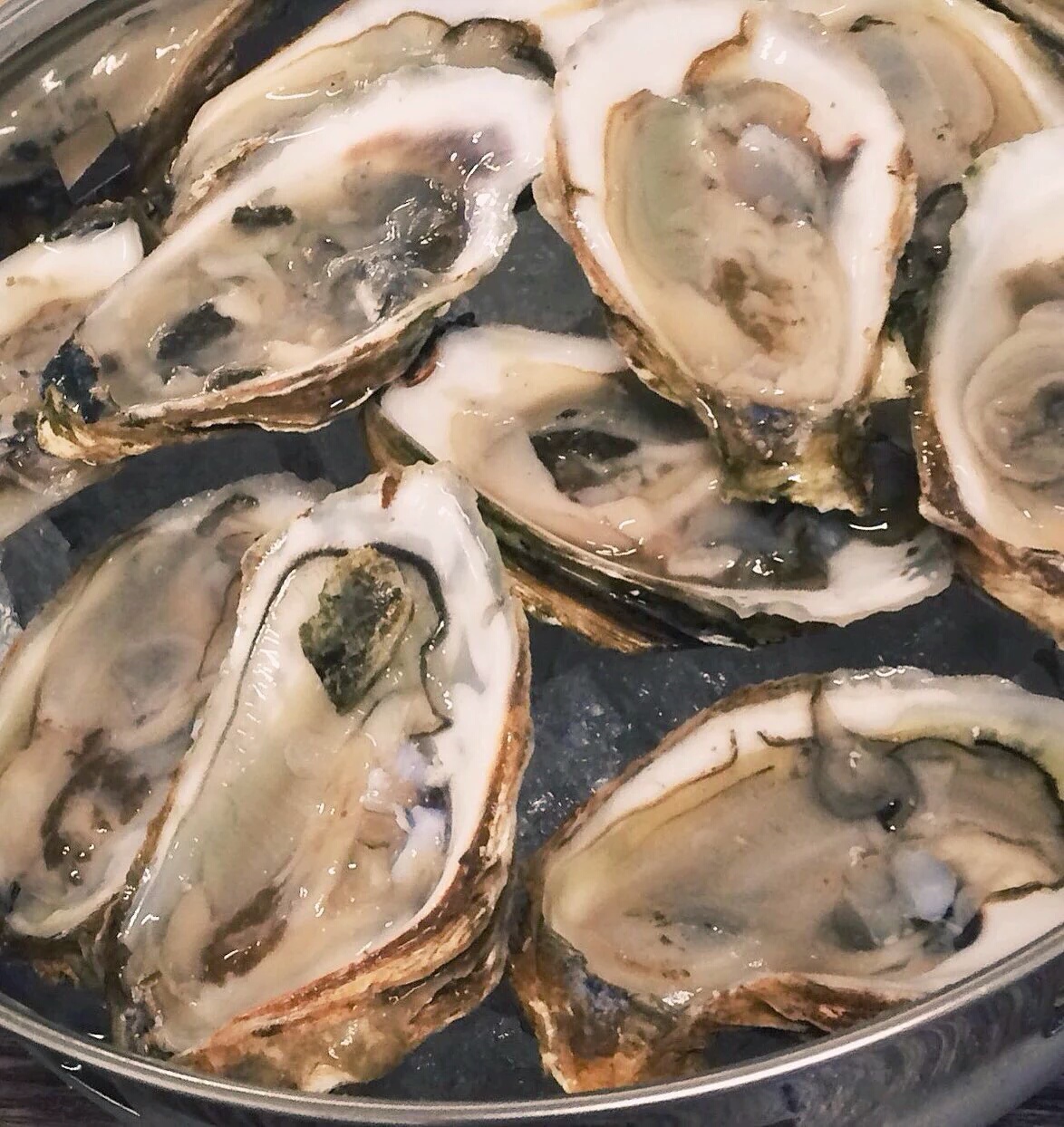 Plantilla de meme Oysters
