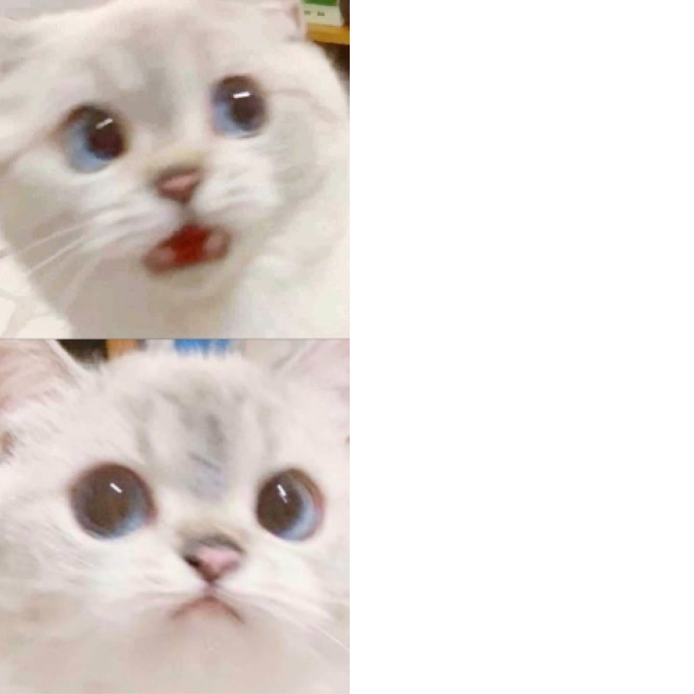 Plantilla de meme PANIK - CALM cat