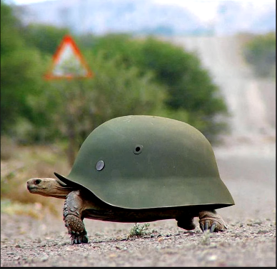 Template meme Panzer turtle (From Dark theme meme)