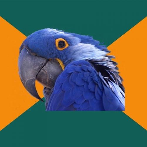 Plantilla de meme Paranoid Parrot