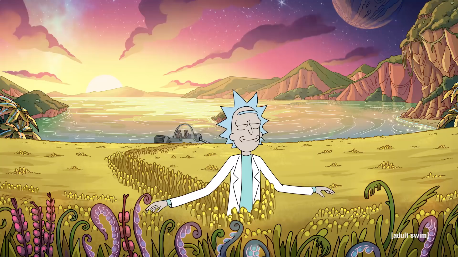 Plantilla de meme Peaceful Rick Sanchez