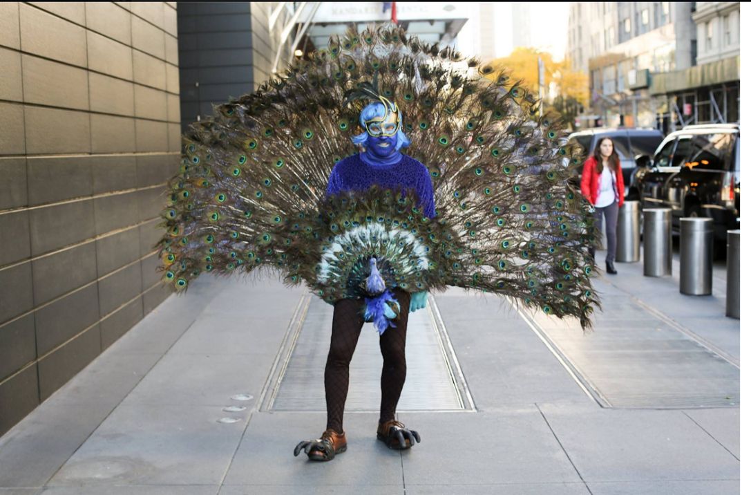 Plantilla de meme Peacocks