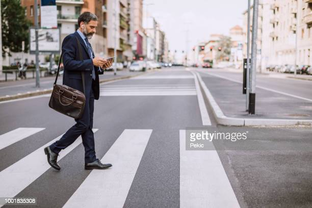 Pedestrian Crosswalk meme template