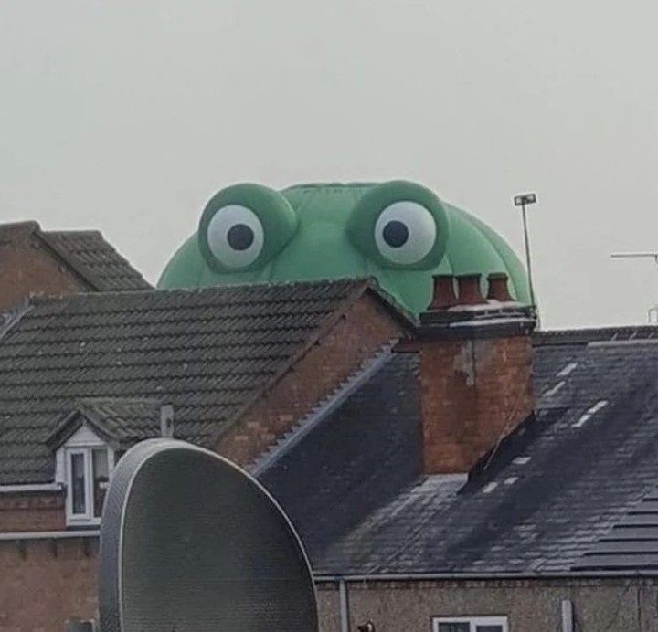 Plantilla de meme Peeping frog