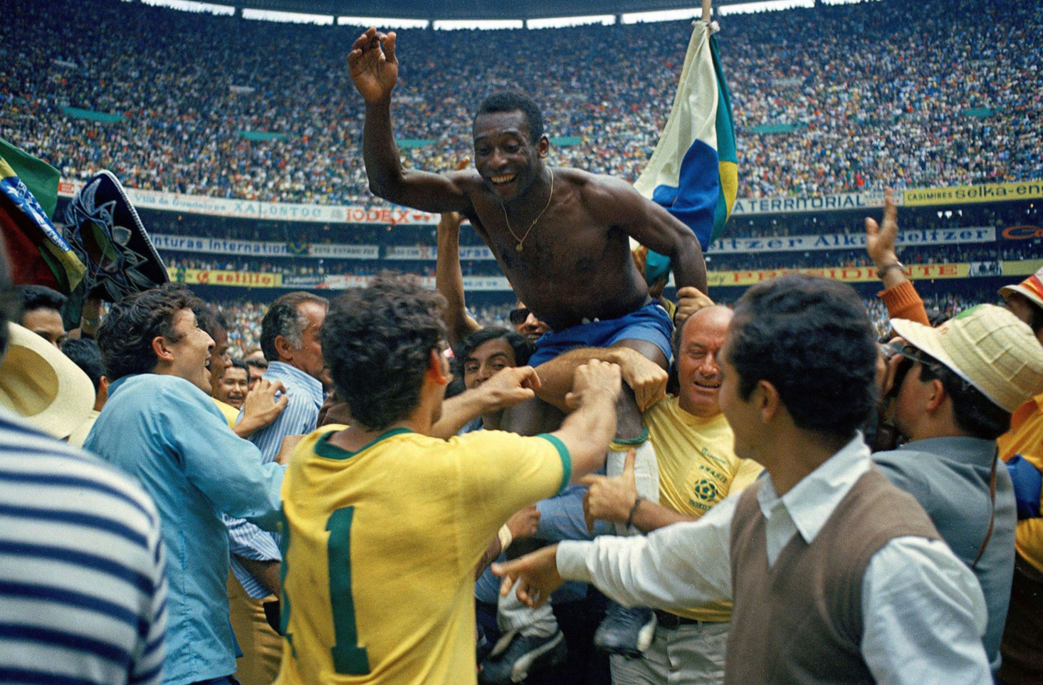 Plantilla de meme Pele