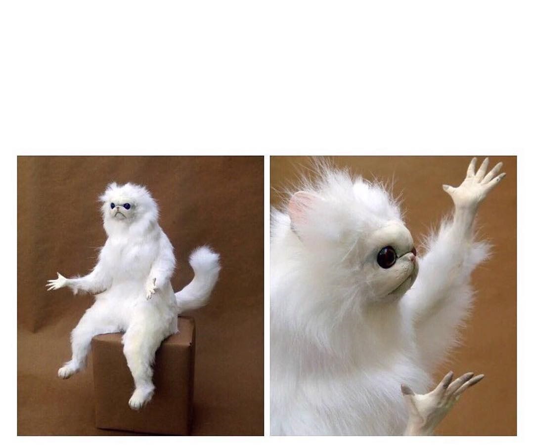 Template meme Persian Cat Meme
