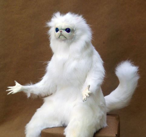 Plantilla de meme Persian white monkey