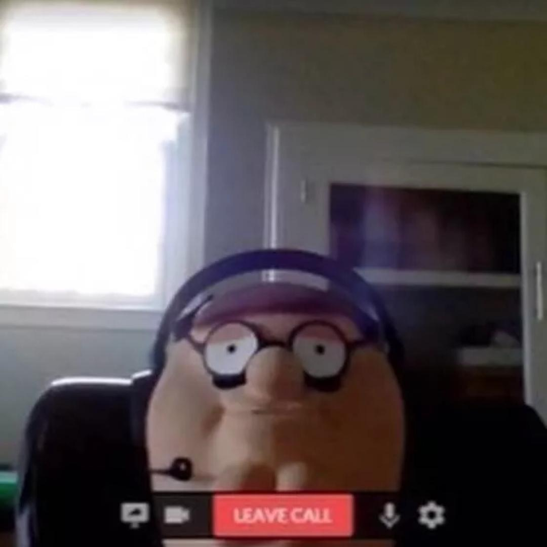Plantilla de meme peter griffin zoom call