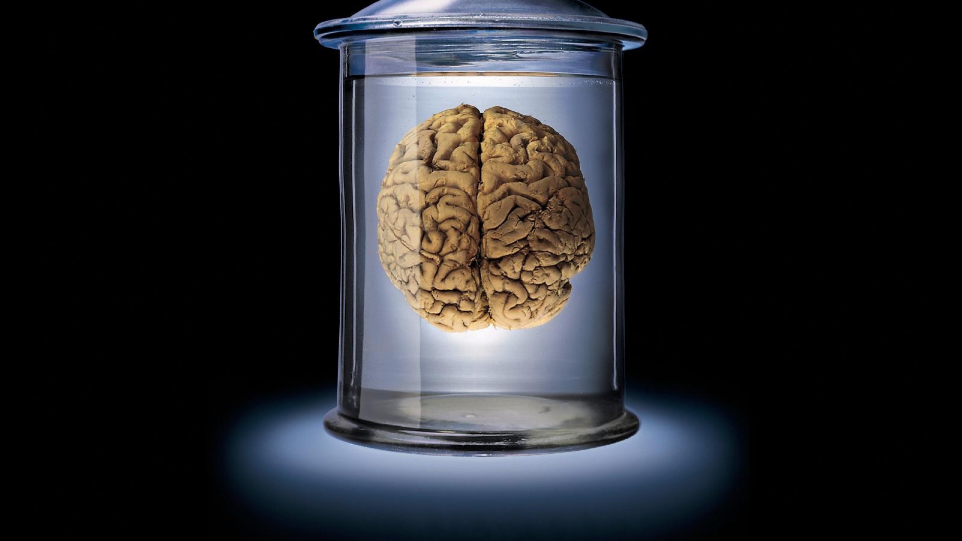 Plantilla de meme Pickled brain