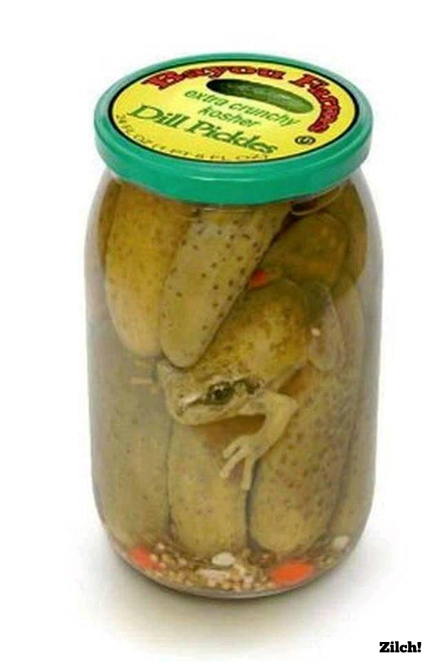 Plantilla de meme Pickled Frog
