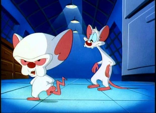 Template meme pinky and the brain monday