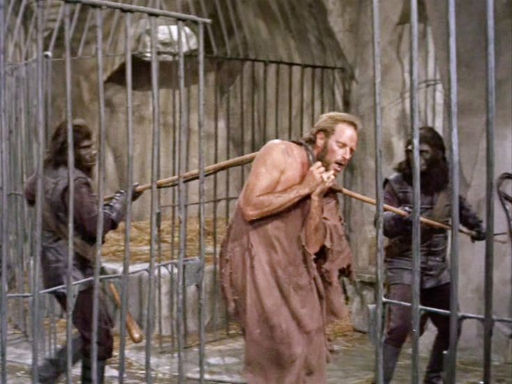 Plantilla de meme Planet of the Apes