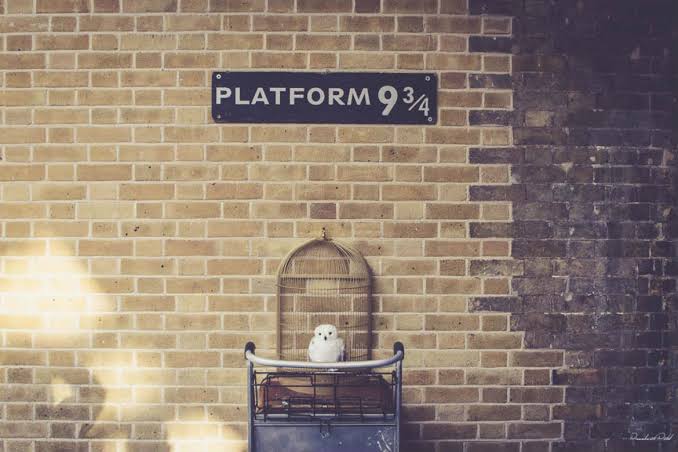 Template meme Platform 9 3/4