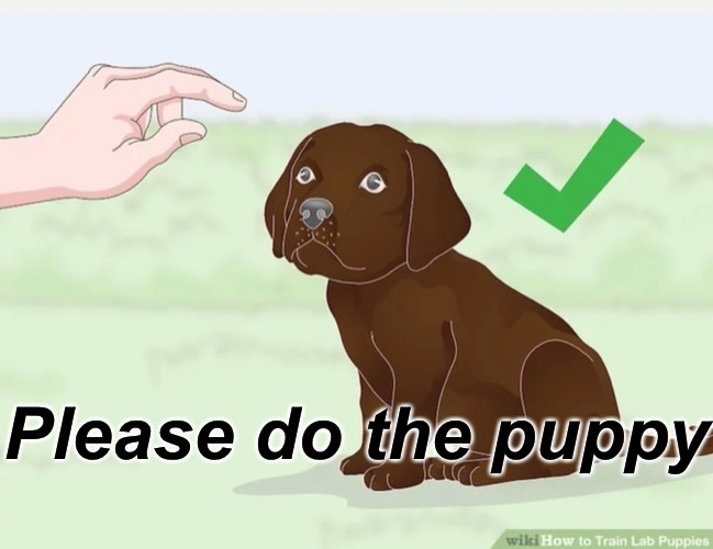 Please do the puppy meme template