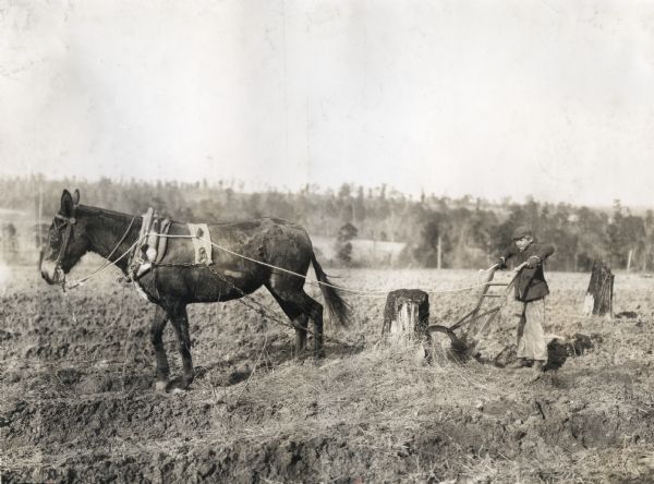 Plowing around the stump meme template