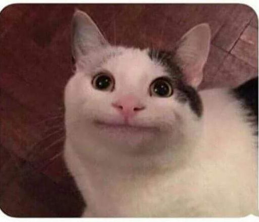 Plantilla de meme Polite Cat