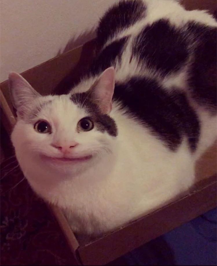 Plantilla de meme Polite Loaf