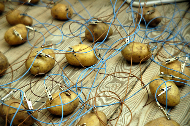 Plantilla de meme potato servers