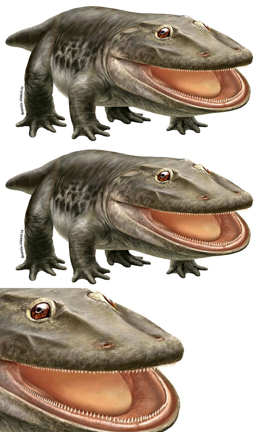 Plantilla de meme primeval times meme