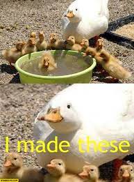 Plantilla de meme Proud mama duck