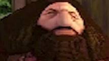 Template meme PS1 Hagrid