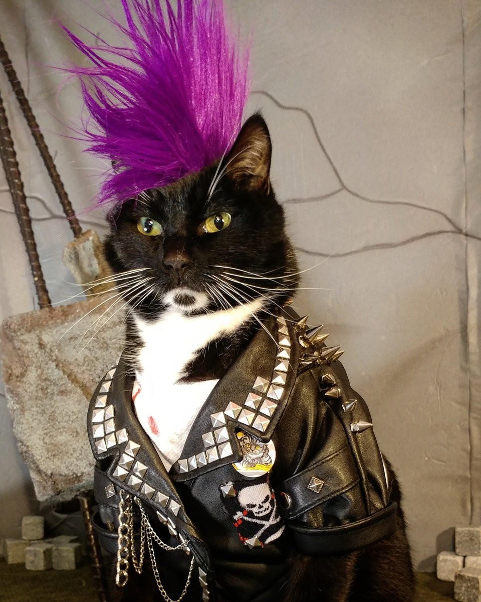 Plantilla de meme PUNK ROCK